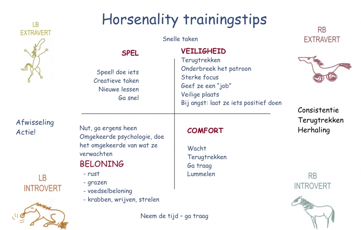 Parelli Horsenality Trainingstips